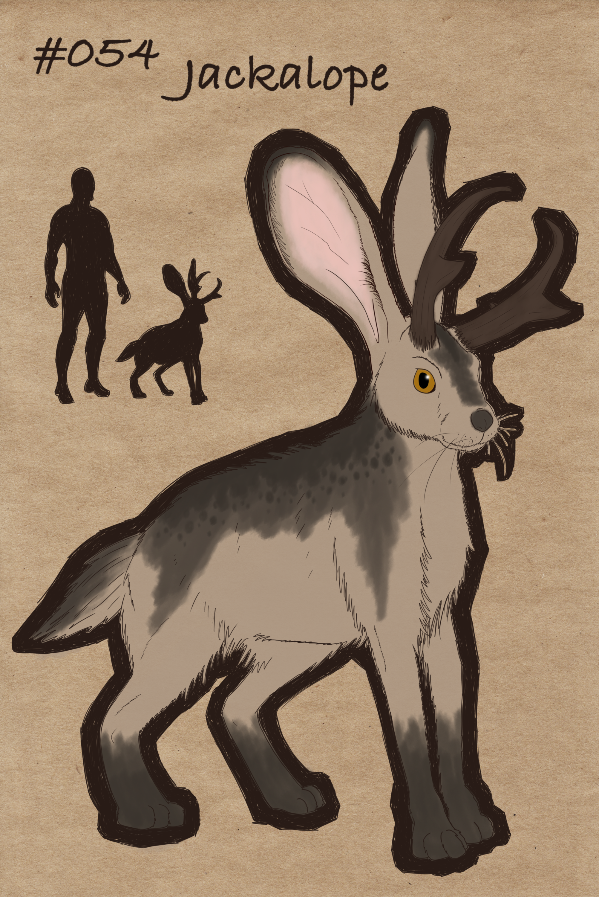 Entry #54: Jackalope — LGM